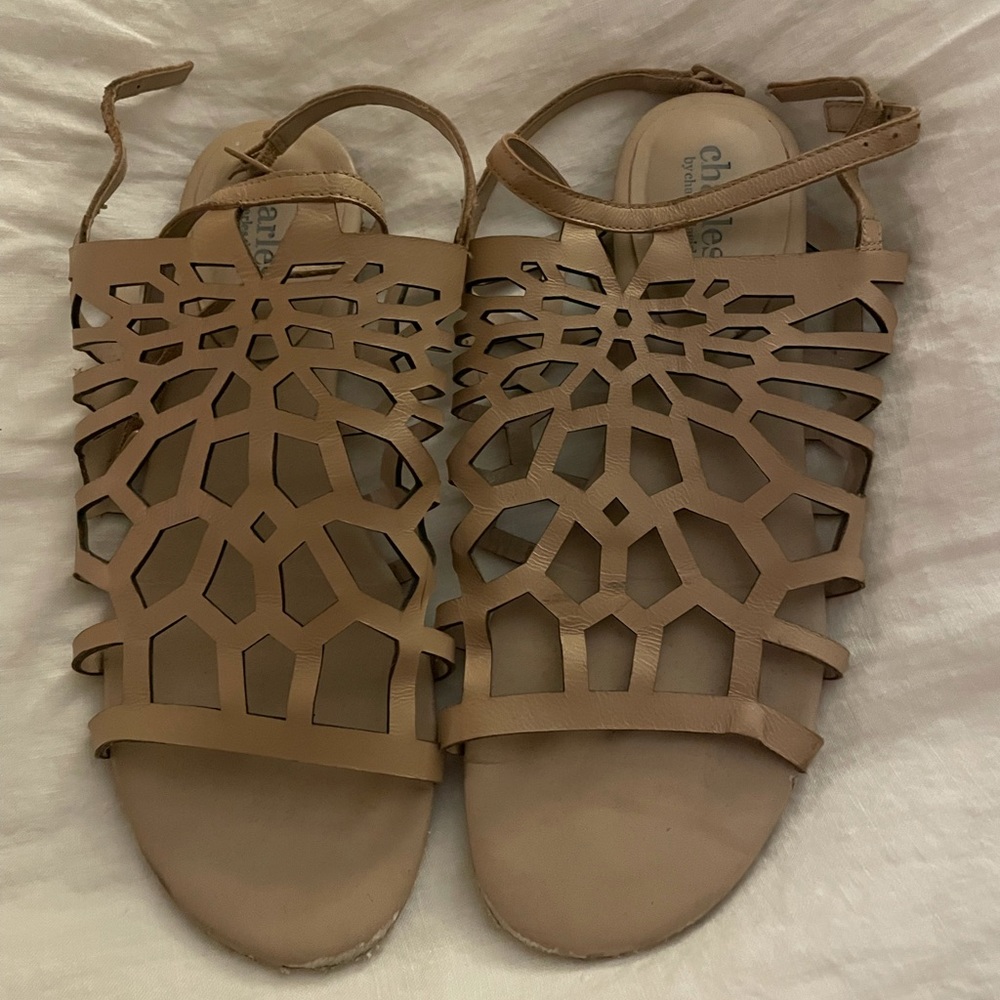 Charles Charles David Lattice Slides